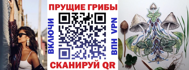 Псилоцибиновые грибы мухоморы  это телеграм  Закаменск 